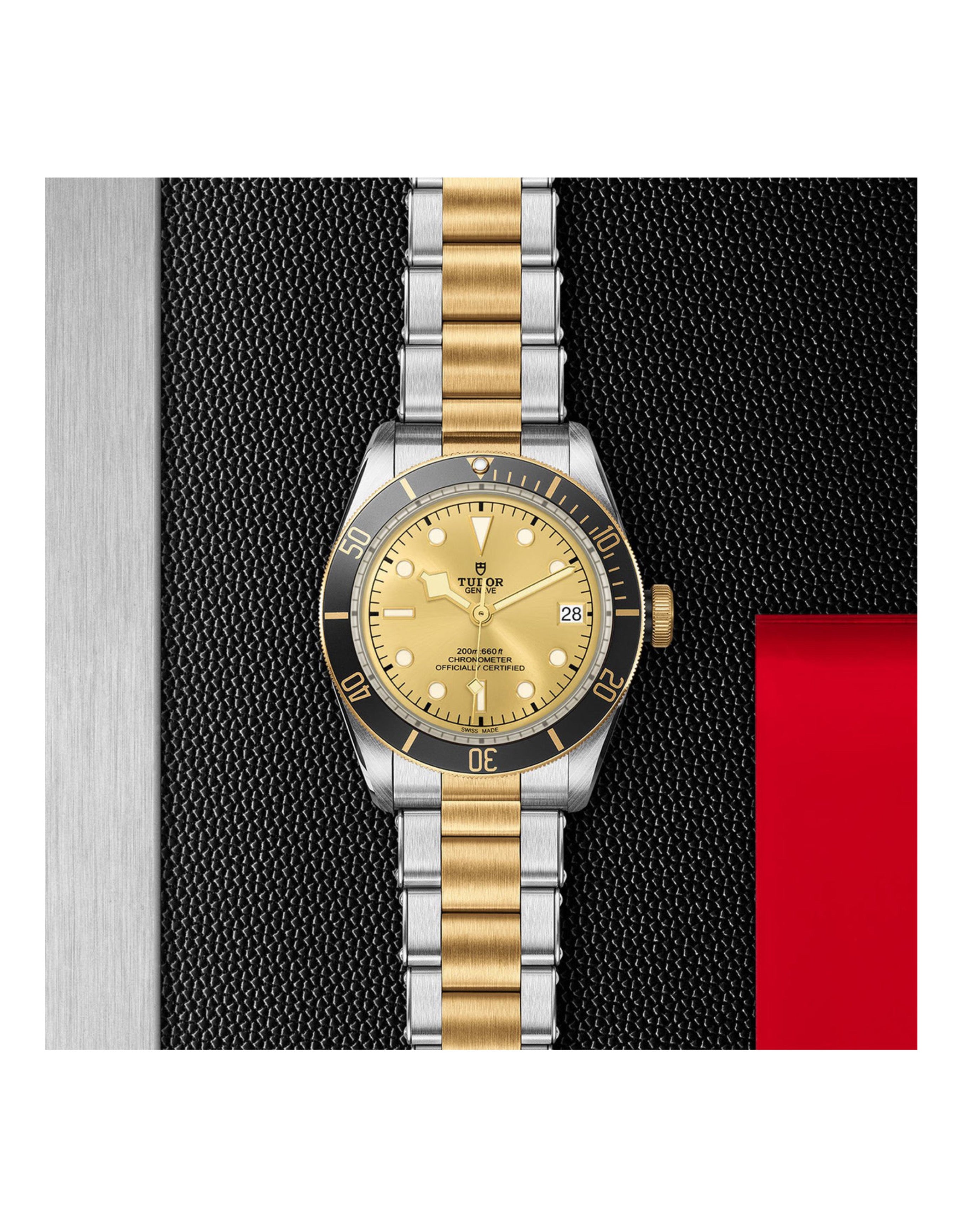 Tudor Black Bay