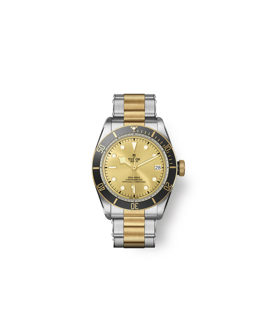 Tudor Black Bay