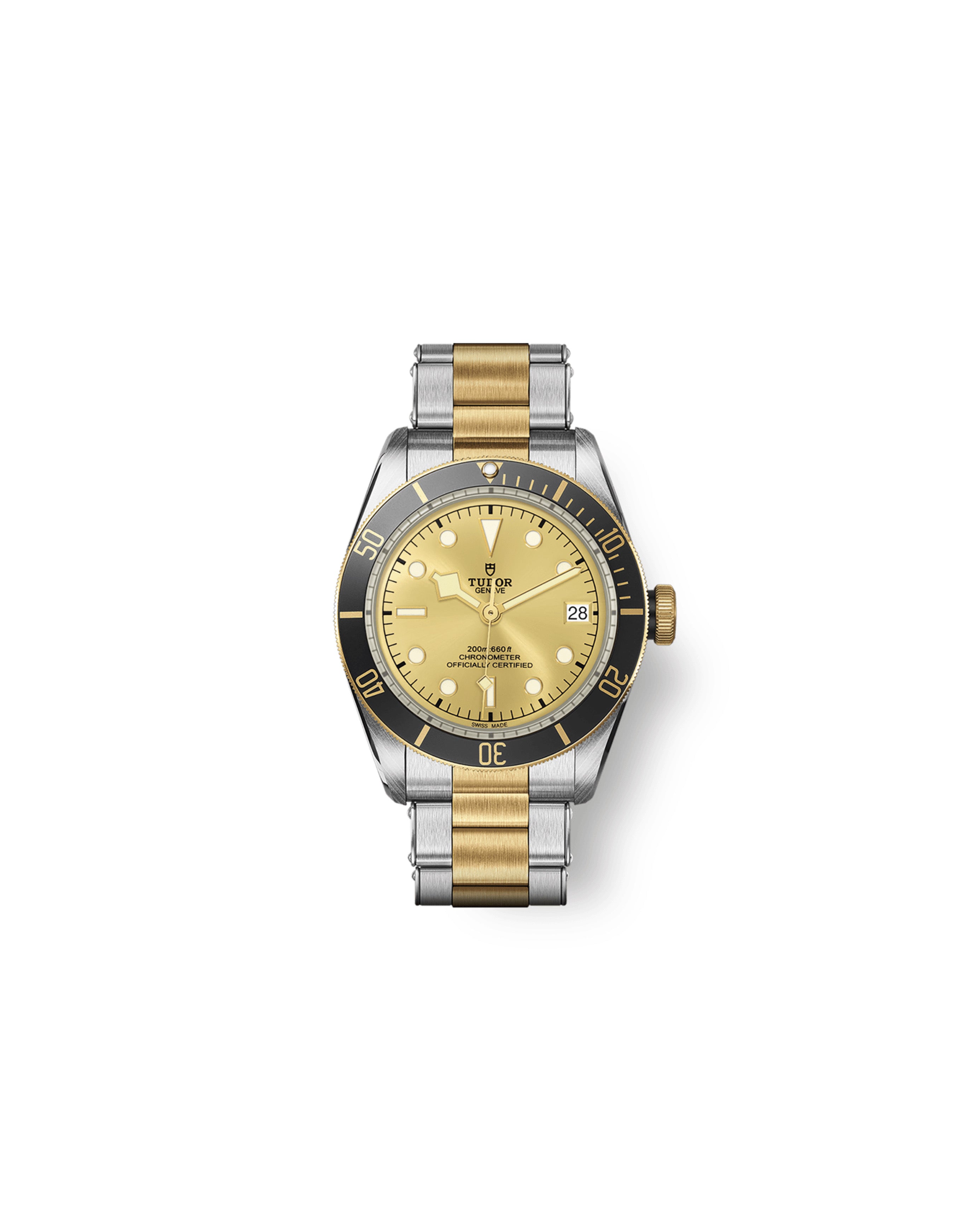Tudor Black Bay