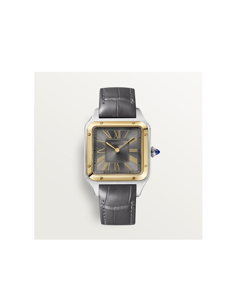 Cartier Santos-Dumont