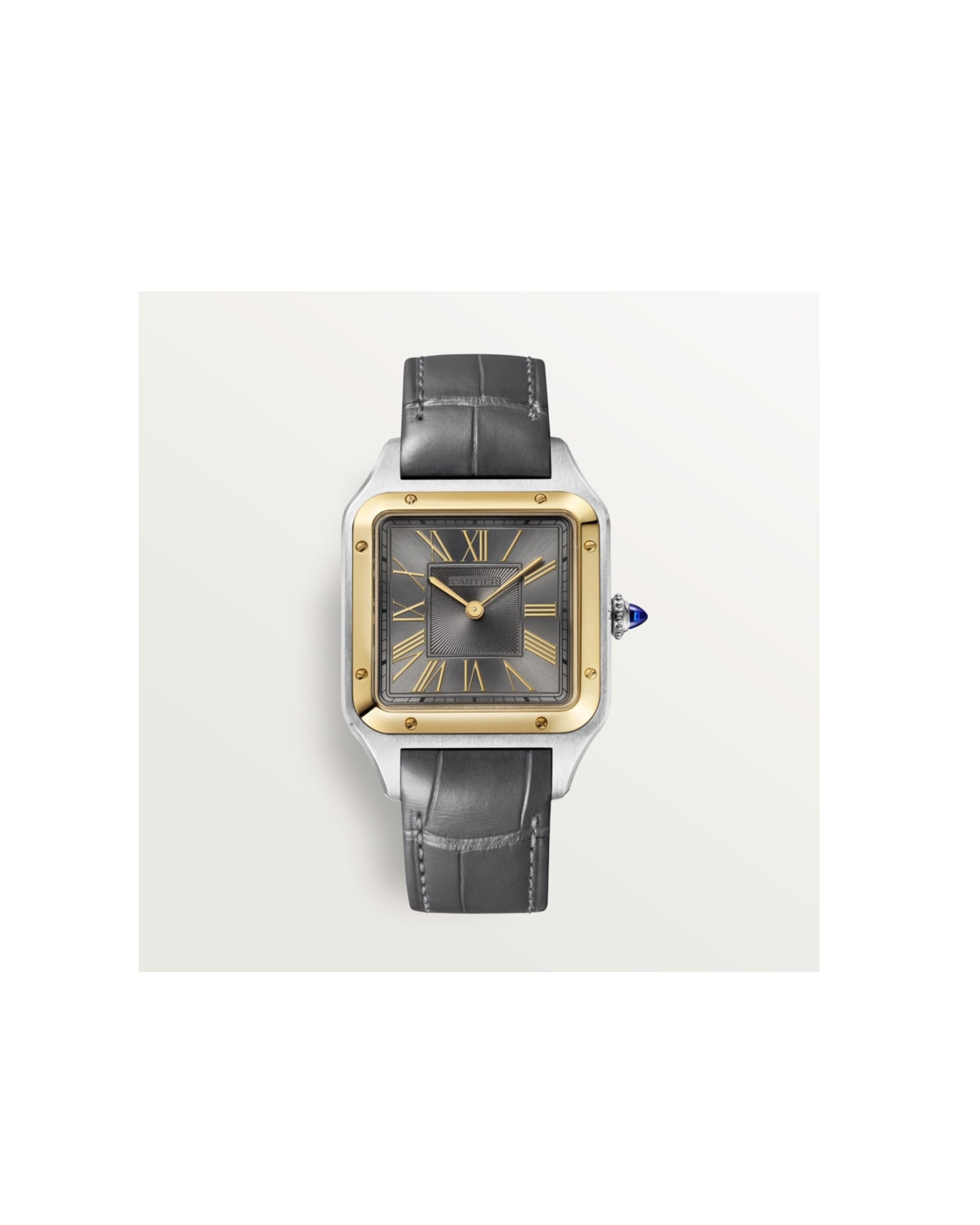 Cartier Santos-Dumont
