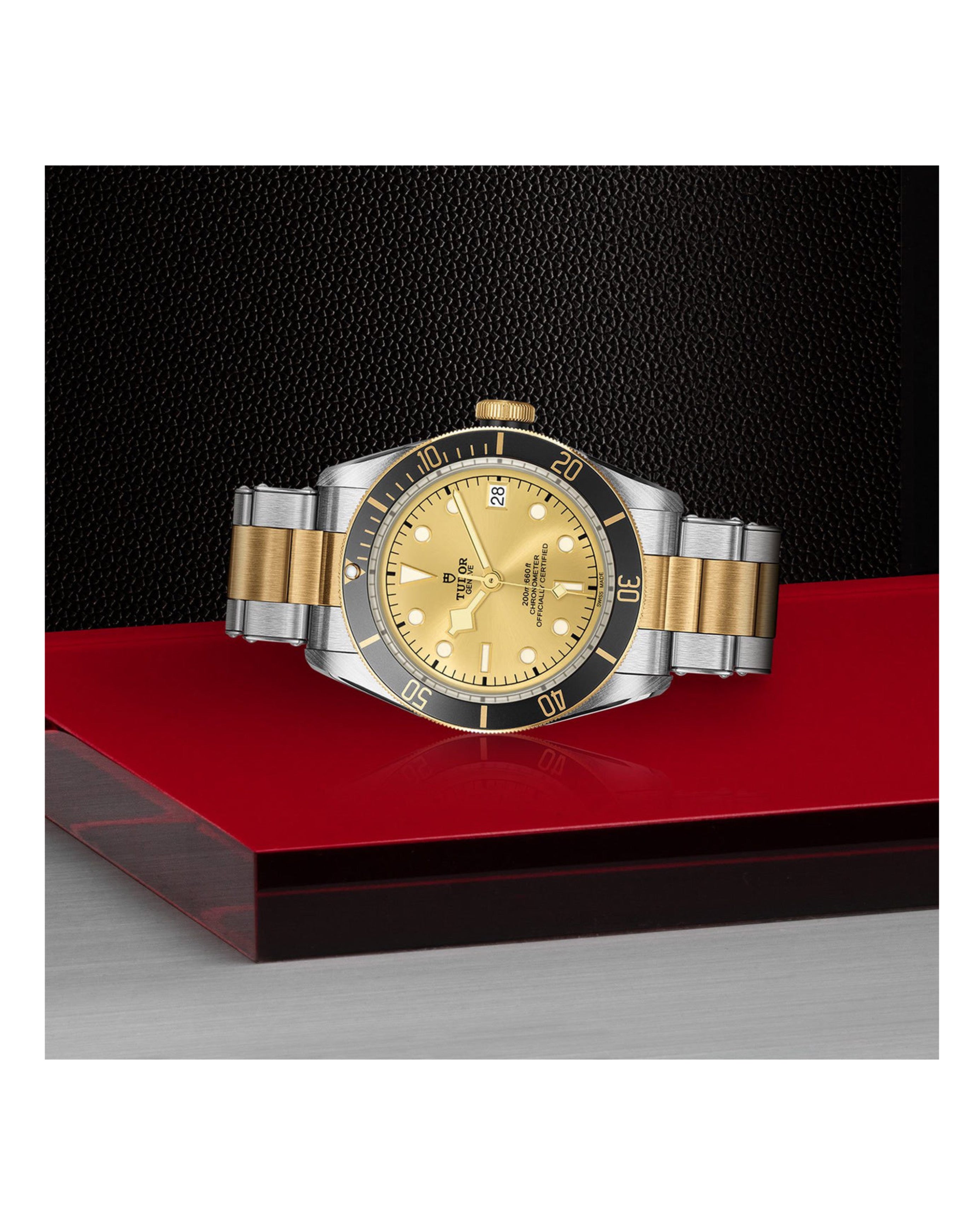 Tudor Black Bay