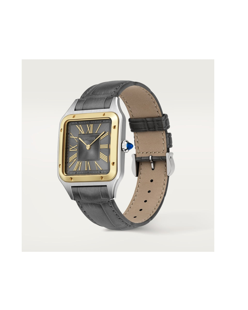 Cartier Santos-Dumont