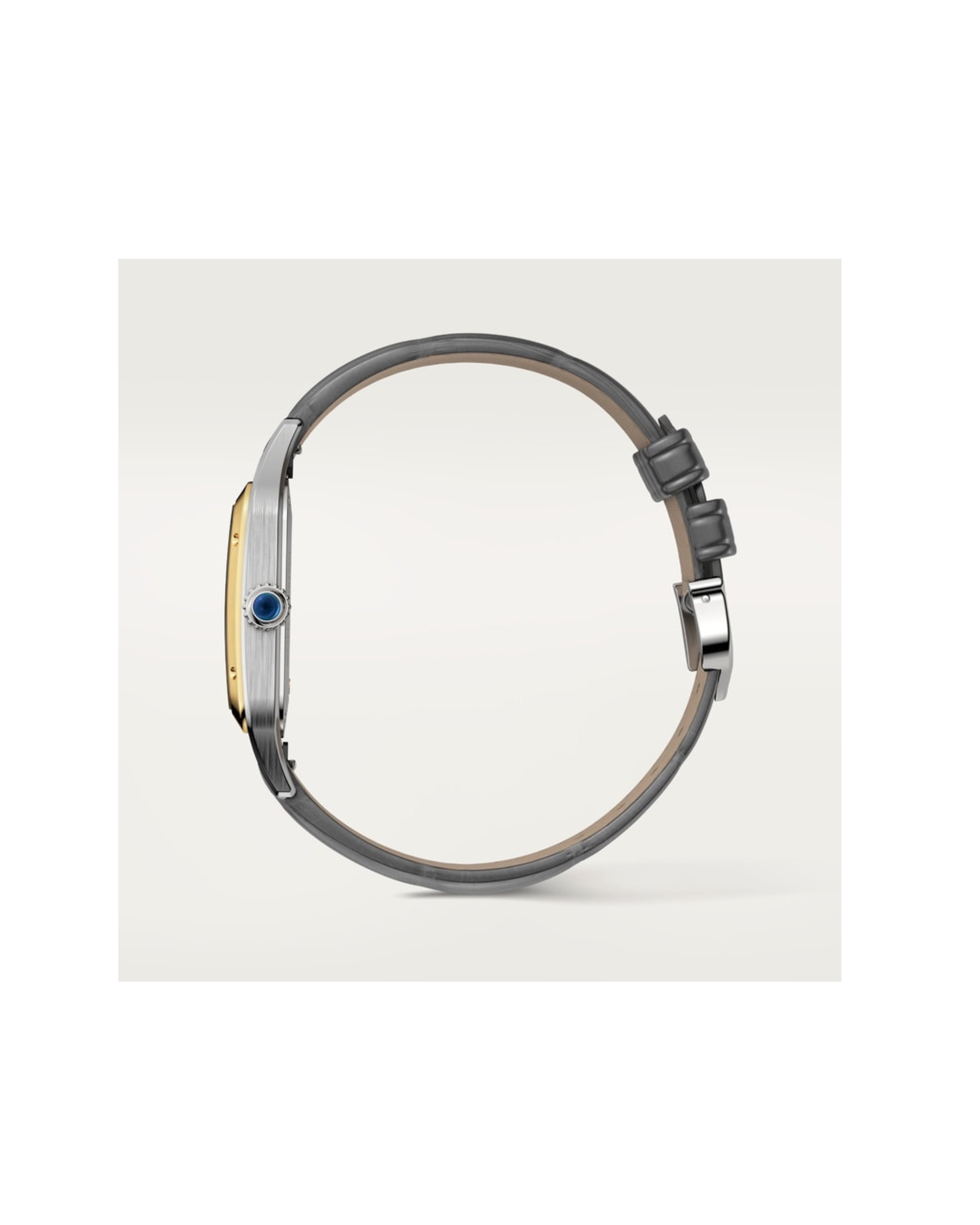 Cartier Santos-Dumont